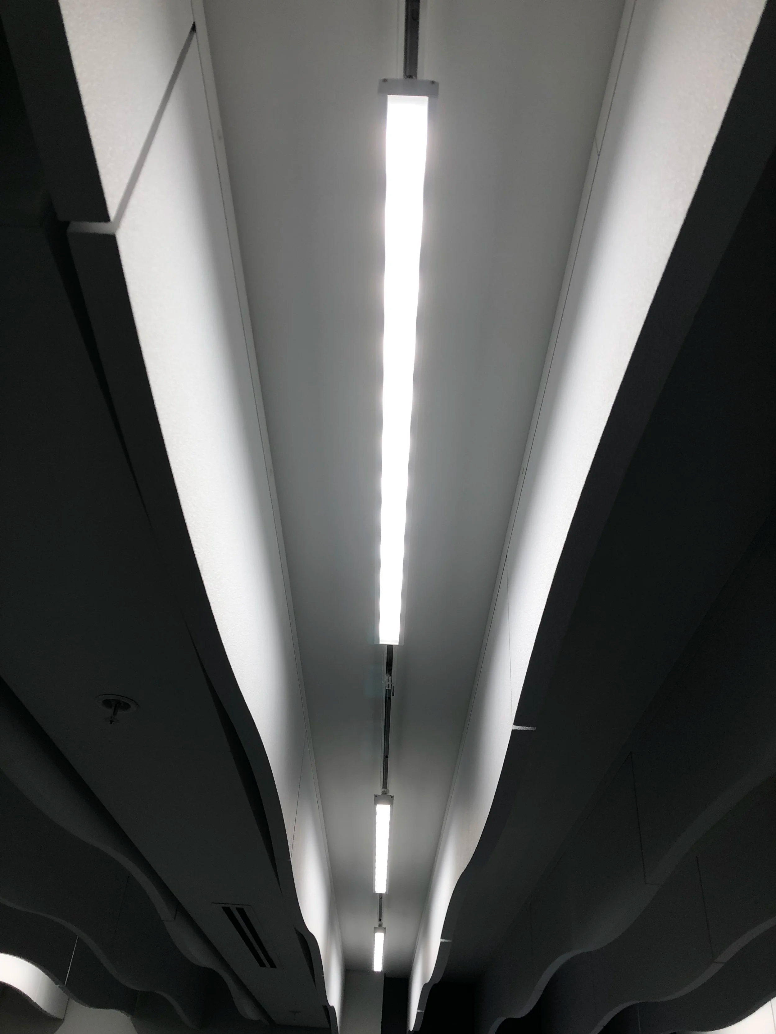 Actron Air Head Office - Linear Track Lighting 