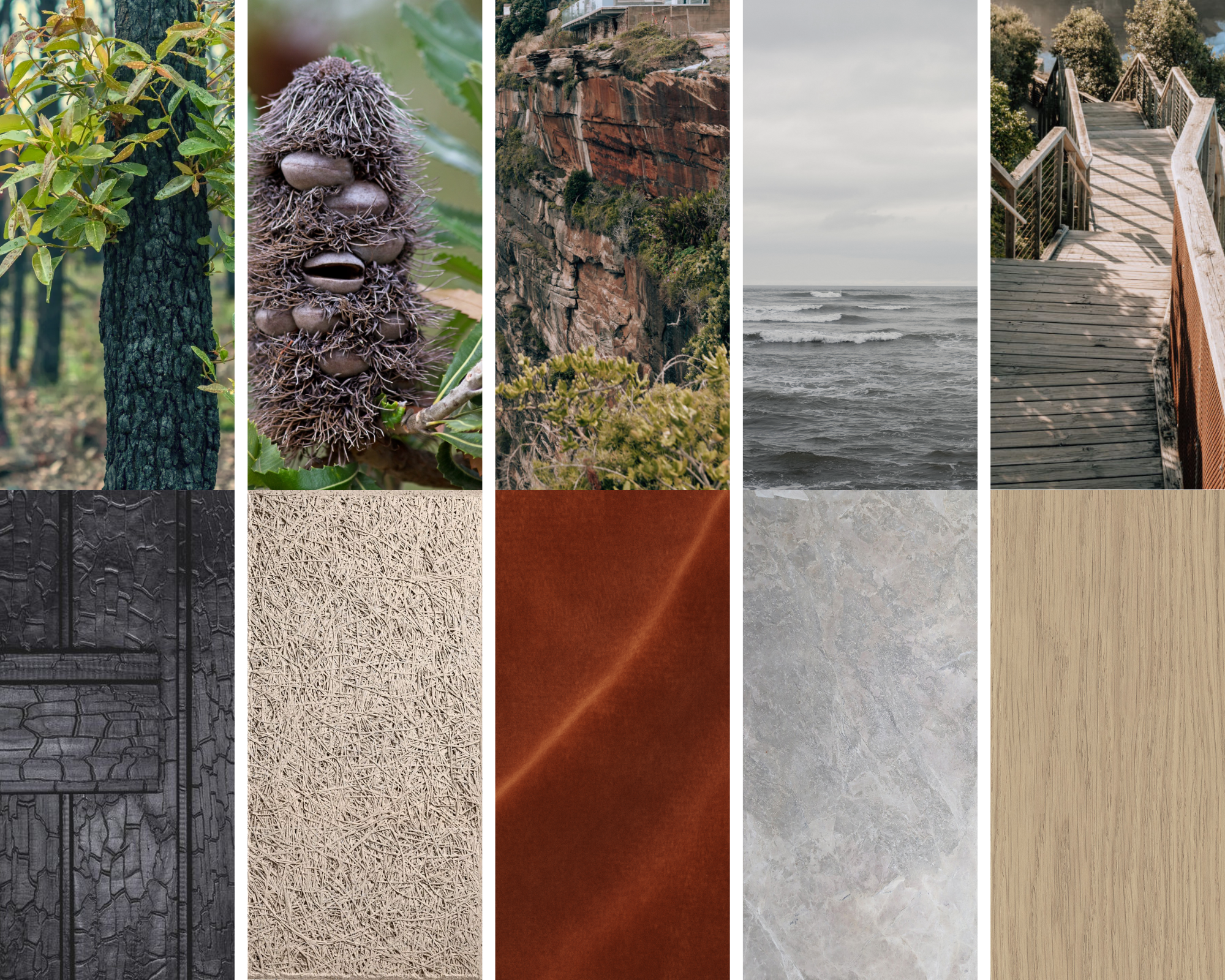 Presentation Packages