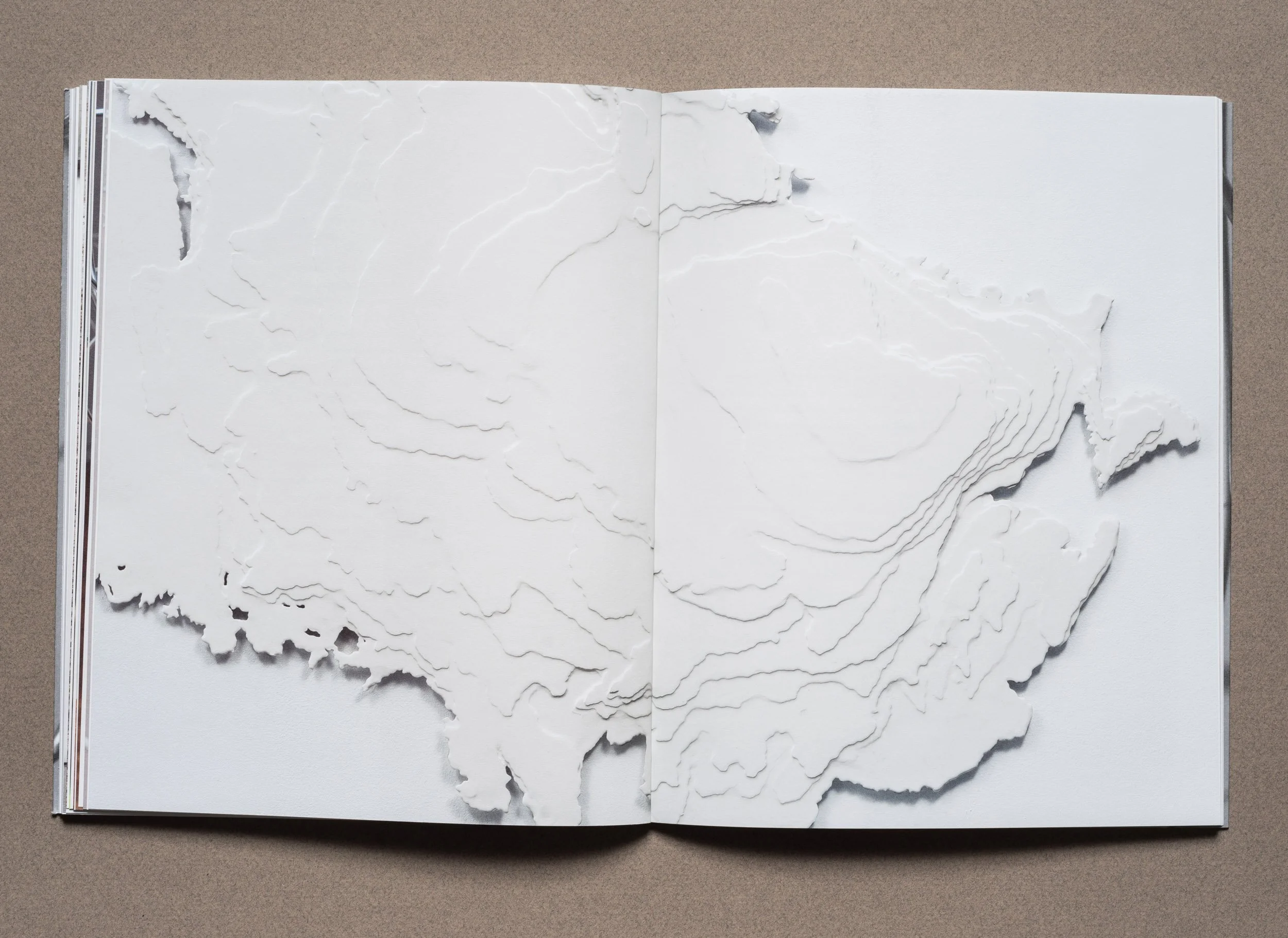 Maya Lin Catalog_16.jpg