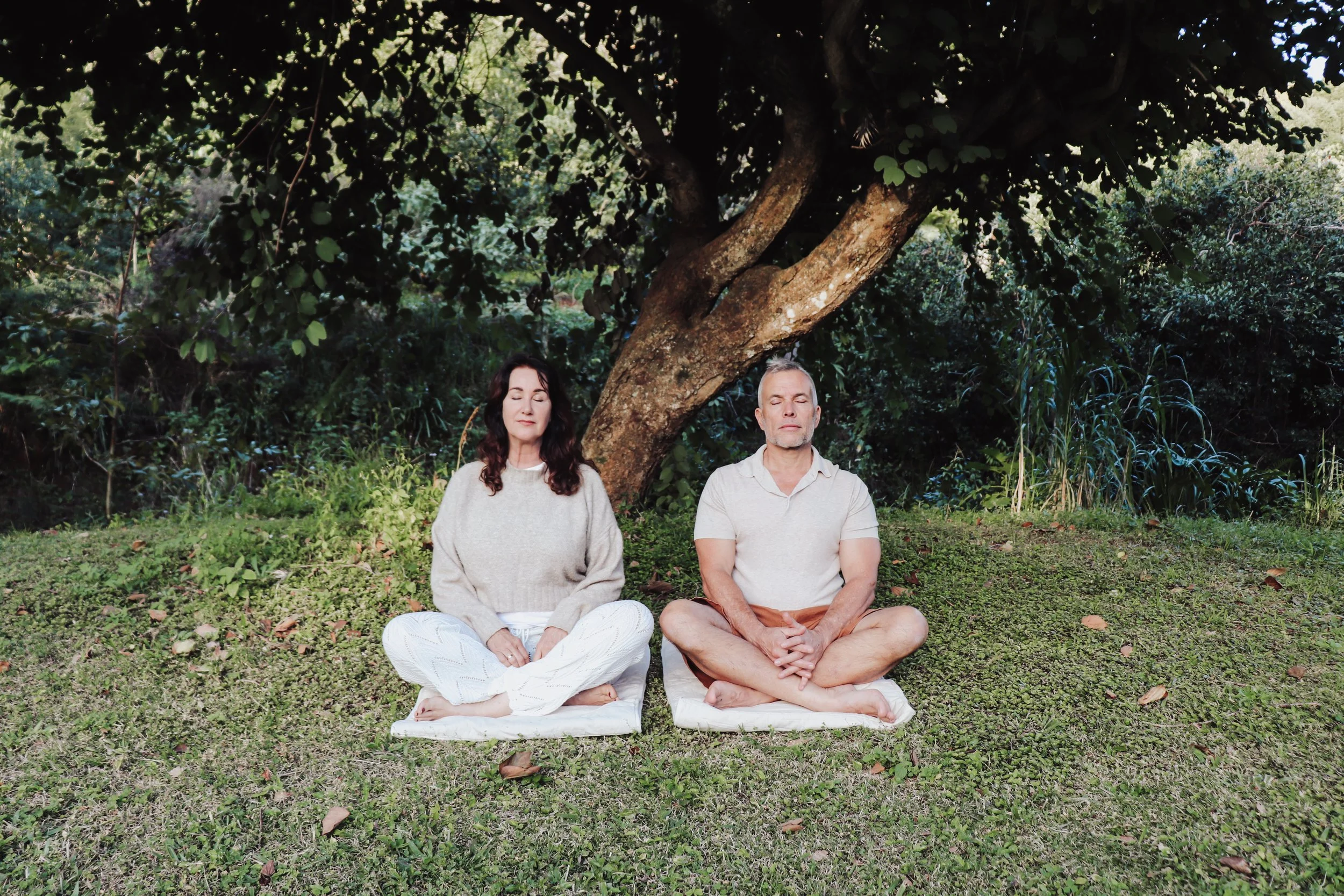 Deon & Jase tree 1.jpg