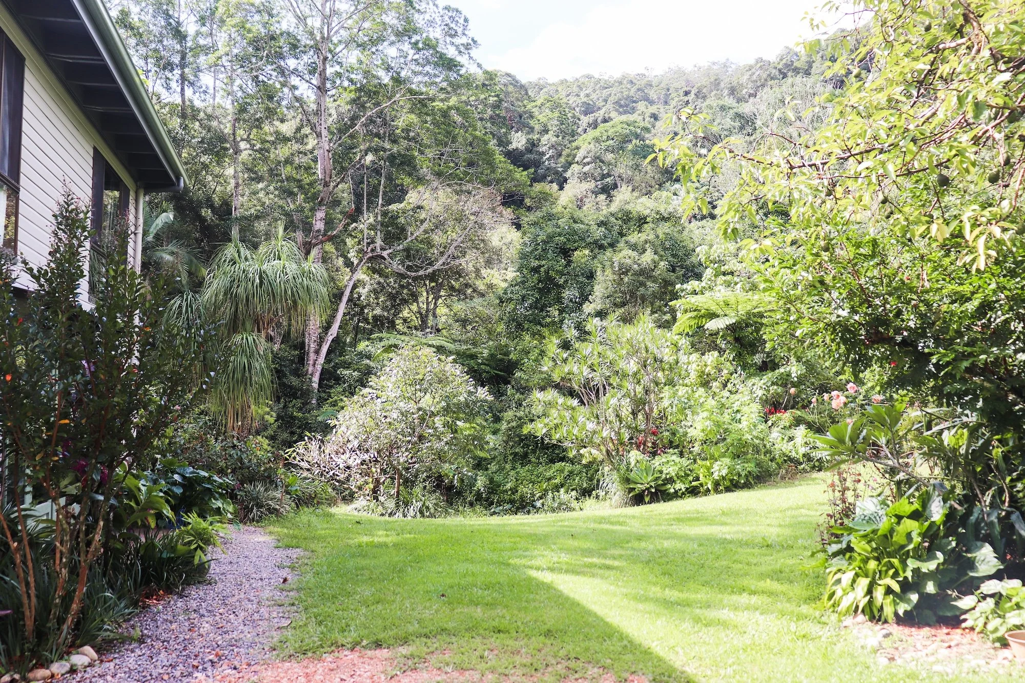 grounds bright colour pop 10.jpg