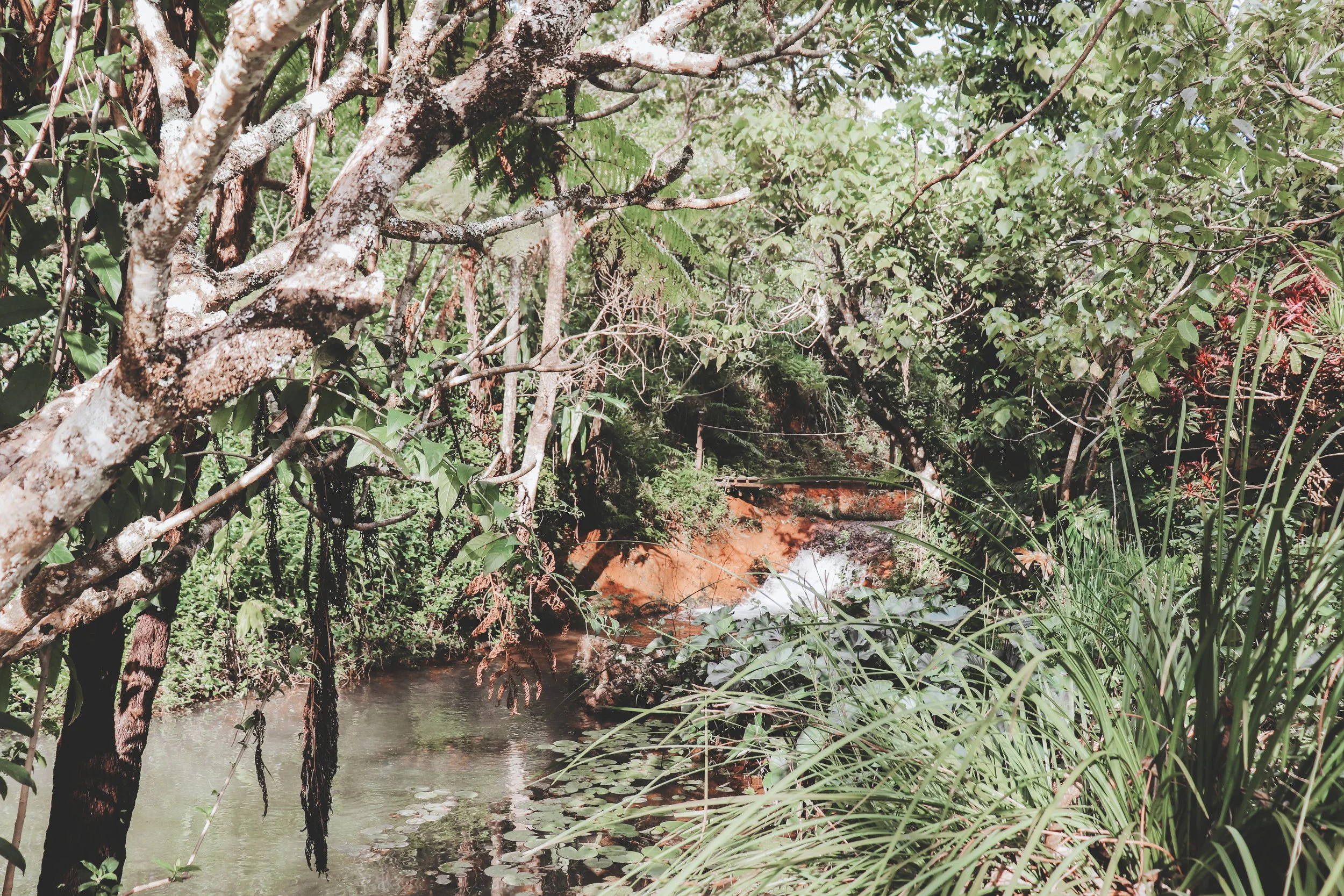 Wild Bohemian 15 waterfall.jpg
