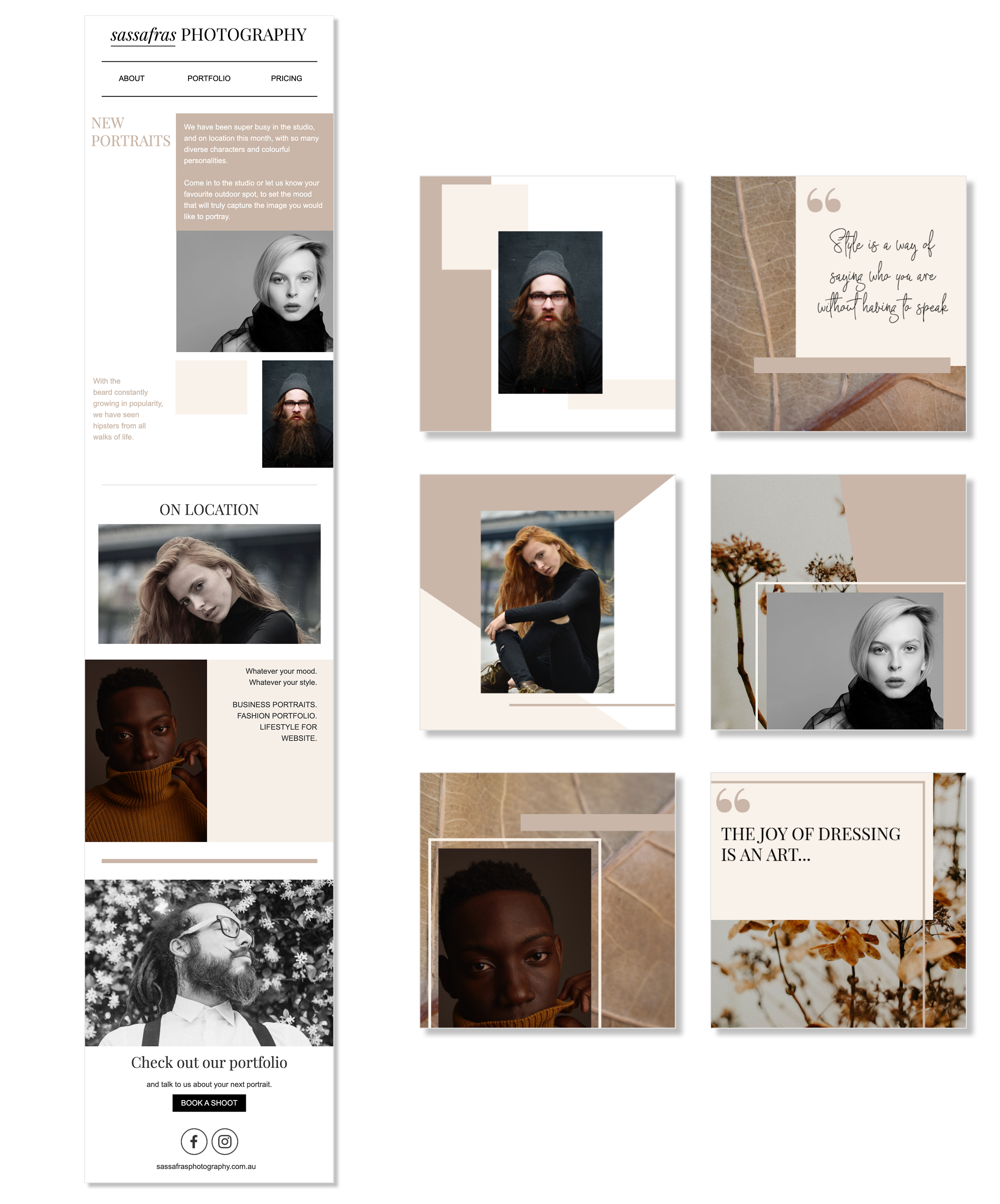 Sassafras Collection.png