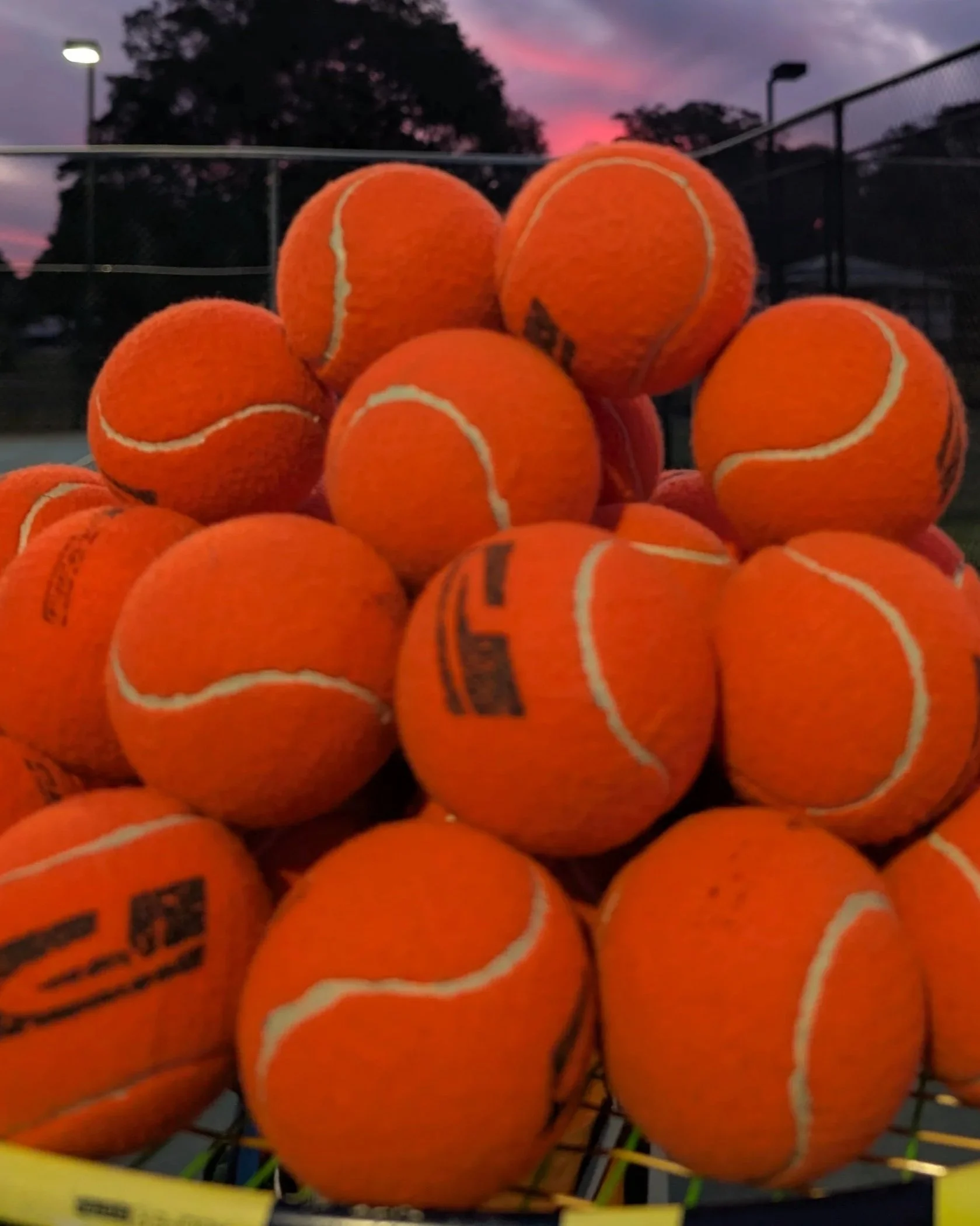A large pile of bright orange tennis balls inside a tennis court, with trees, a fence, and a sunset sky in the background.