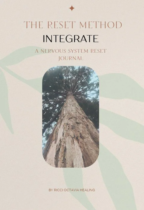 Integrate Journal front page.jpg