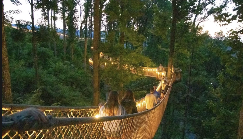 Anakeesta - Composer, Sound Designer | Christian Olsen