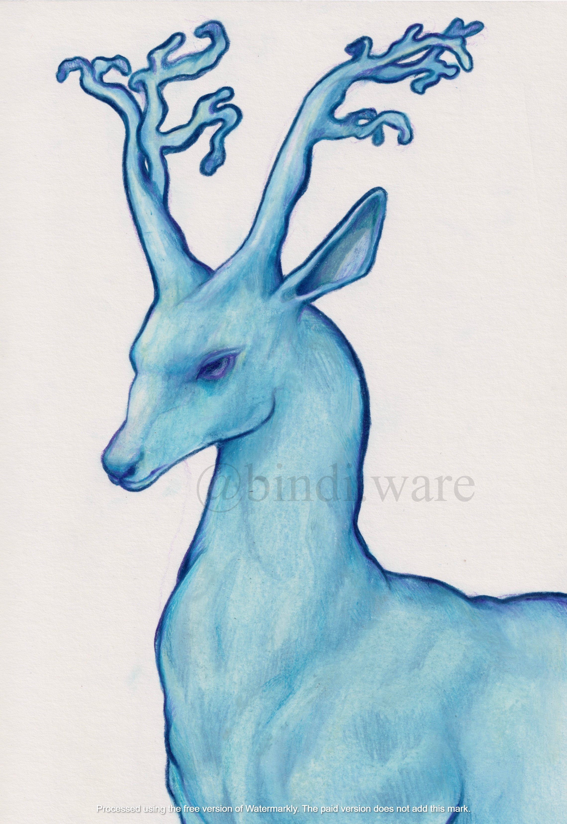 Blue Deer - Originals