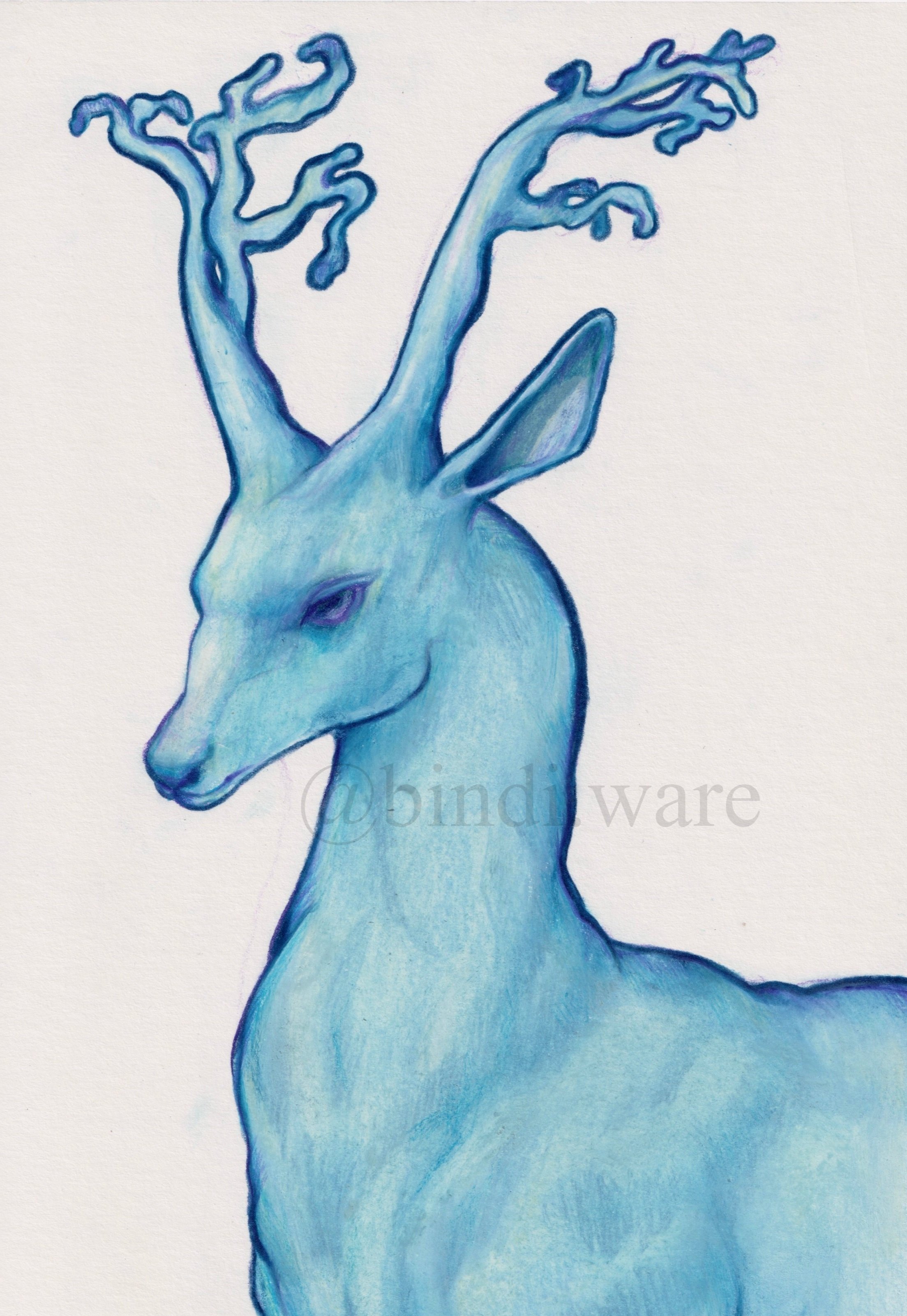 Blue+Deer.jpg
