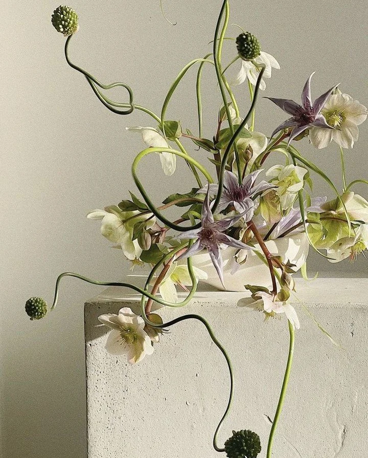 Nice. Different. Unusual.⁠
⁠
via our Pinterest.⁠
⁠
⁠
⁠
⁠
#bridalbouquet #minimalwedding #weddingflorals #weddingdress #bridalgown