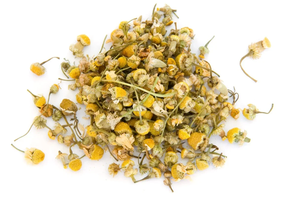 How spice made its way from Portuguese sailors to Macau’s kitchens – and medicine cabinets