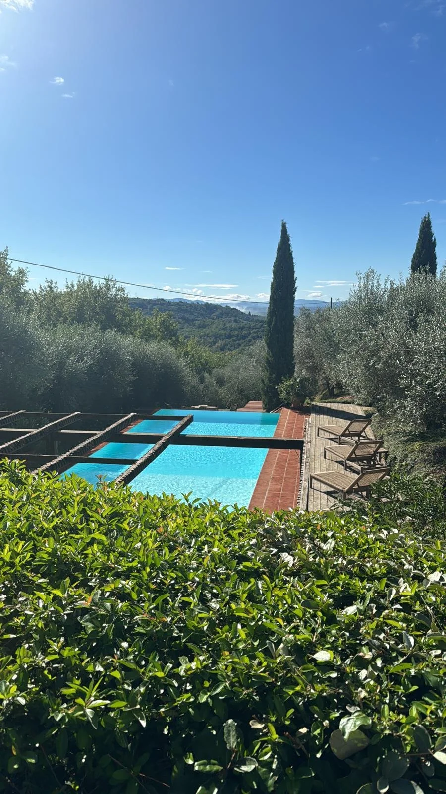 WhatsApp Image 2024-10-08 at 14.53.10 (5).jpeg