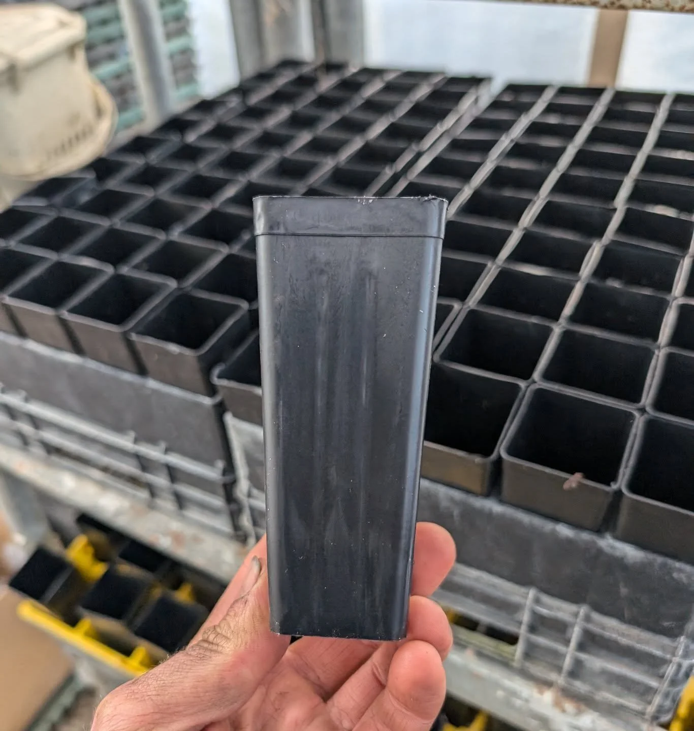 Hey fam! Jackson and I need your help @nomad.nursery 

We're currently propagating tomatoes and spring plants like crazy, which means we need lots and lots of pots! 

We use tubes (as seen in this photo), so if you have any pots that look like this t