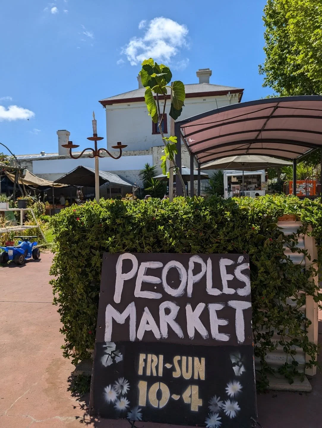 Hey all for those down in the western suburbs I just dropped off another delivery for Lloyd and the crew at @thepeoplesmarketsa 

Here's the full list of the @nomad.nursery stock there
🌻 45 St Vincent Street, Port Adelaide 
🌻 10-4pm, Fri to sun

Ch