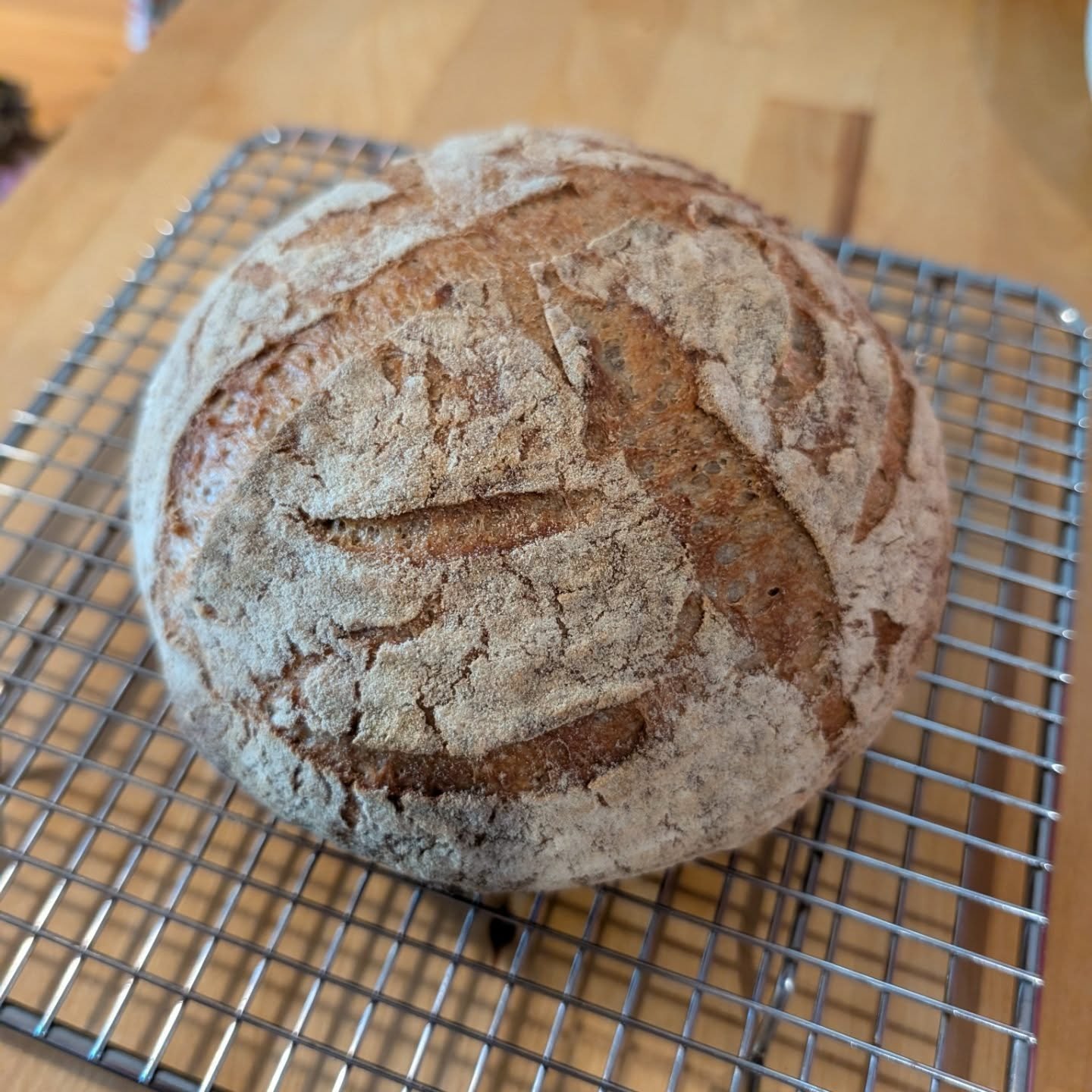 Gluten free sourdough breads 👀 

Ever since I started running sourdough bread workshops I would always get asked about gluten free sourdough breads and it's been on my plate to include this into my repertoire.

After messing around off and on with d