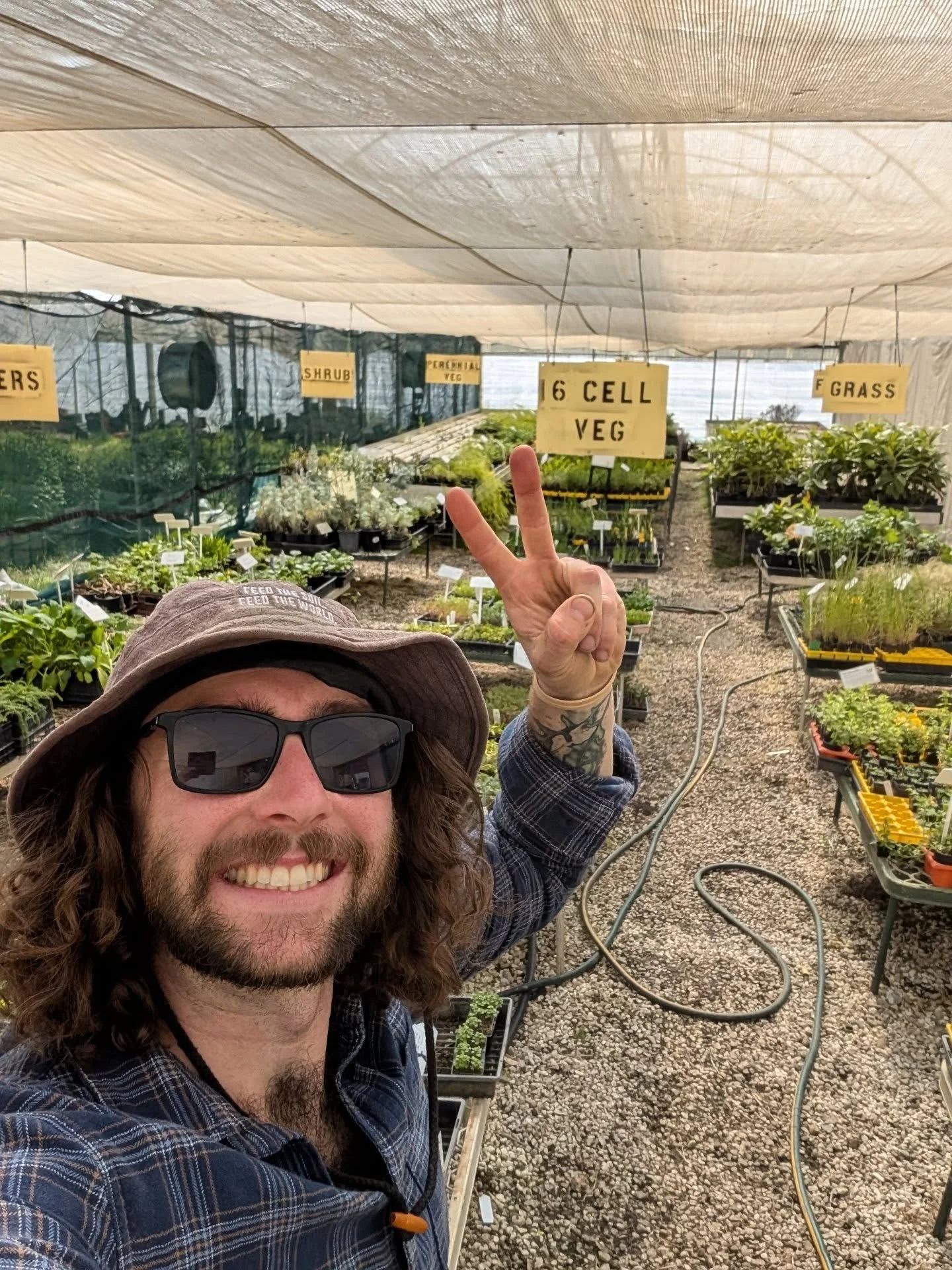 Hey plant people! @nomad.nursery is back open this Saturday for our November plant sale 👀. Feels like both the shortest and longest time since we opened last month 😅. 

Huge mix of veg, herbs, flowers, perennials, groundcovers, natives and Soo much