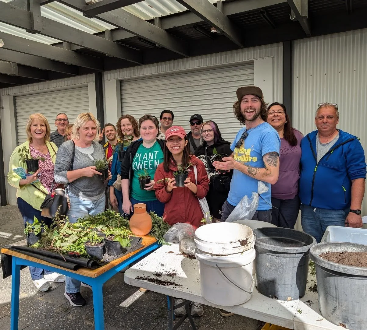 Heyo friends out in the Barossa and up north, I'll be at the @barossa_nursery for the full day on the 24th of Jan running two workshops 👀 

You can catch me for the Harvest and Brine: a growing and pickling workshop or my Homemade: Jam, butter and b
