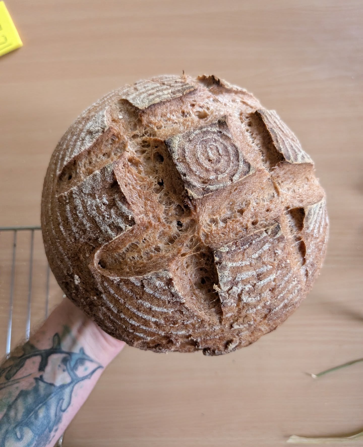 Hey fam, question time: 
What workshops would you like to attend this 2026?

This year I have a lot of ideas on what workshops and some topics in mind from feedback but always good to know what people are keen on learning 😁.

I currently work with 1