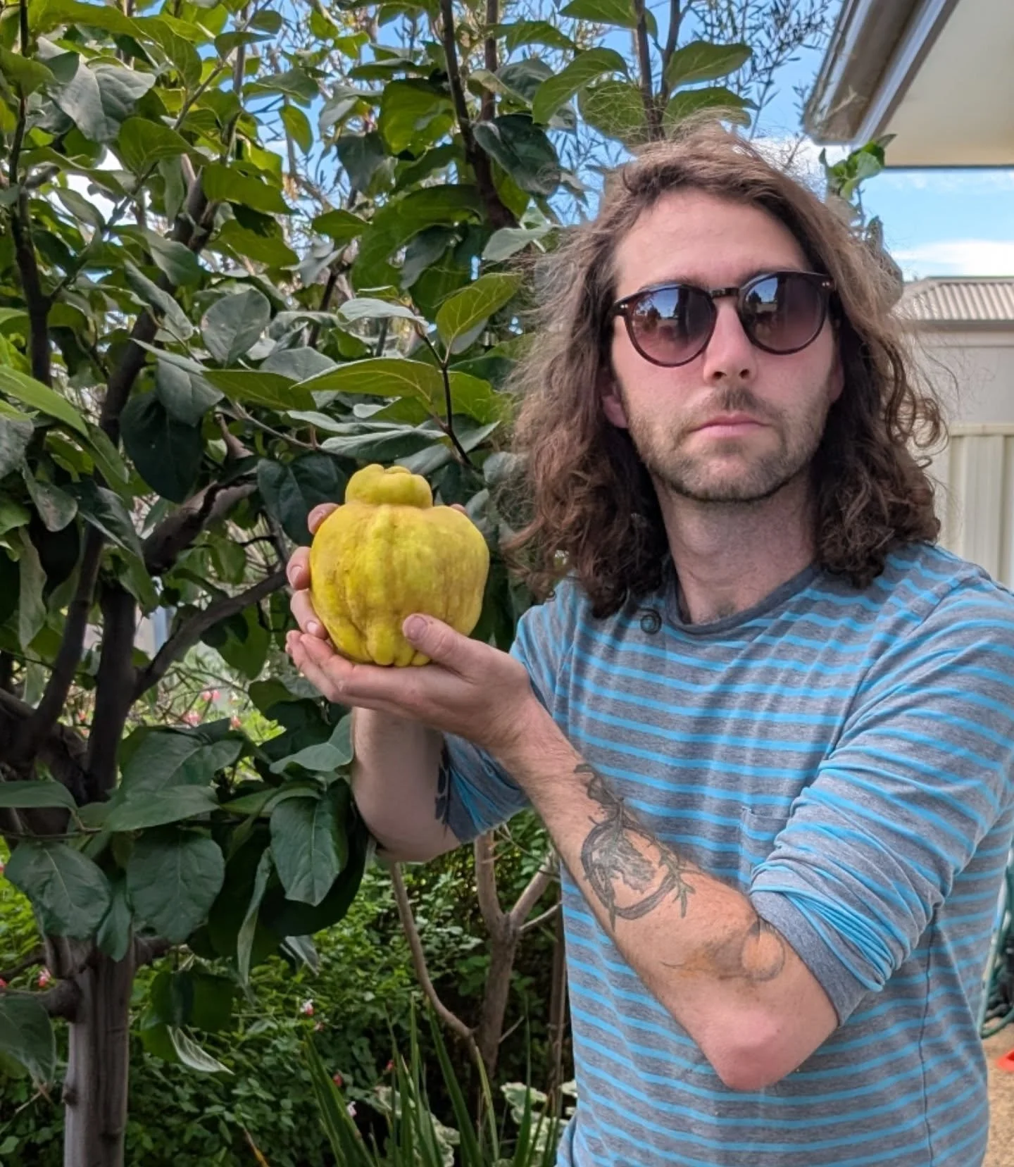 Your biennial reminder that if you take care of your quince tree your quince tree will take care of you

2 years apart, same quince tree, just longer hair