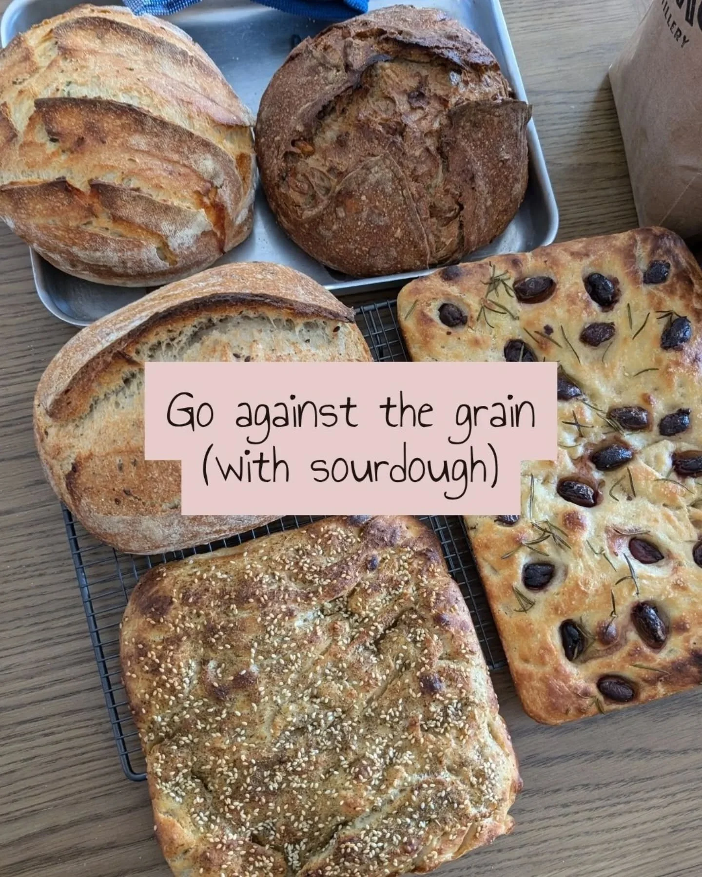 Over the past couple years I've been really cranking out the sourdough bread workshops and wanted to share some observations I've made about the lovely world of sourdough.

For a long time bread has been seen as a commodity food item and humans keep 