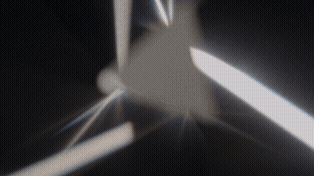 35821_QDNL_prism.gif
