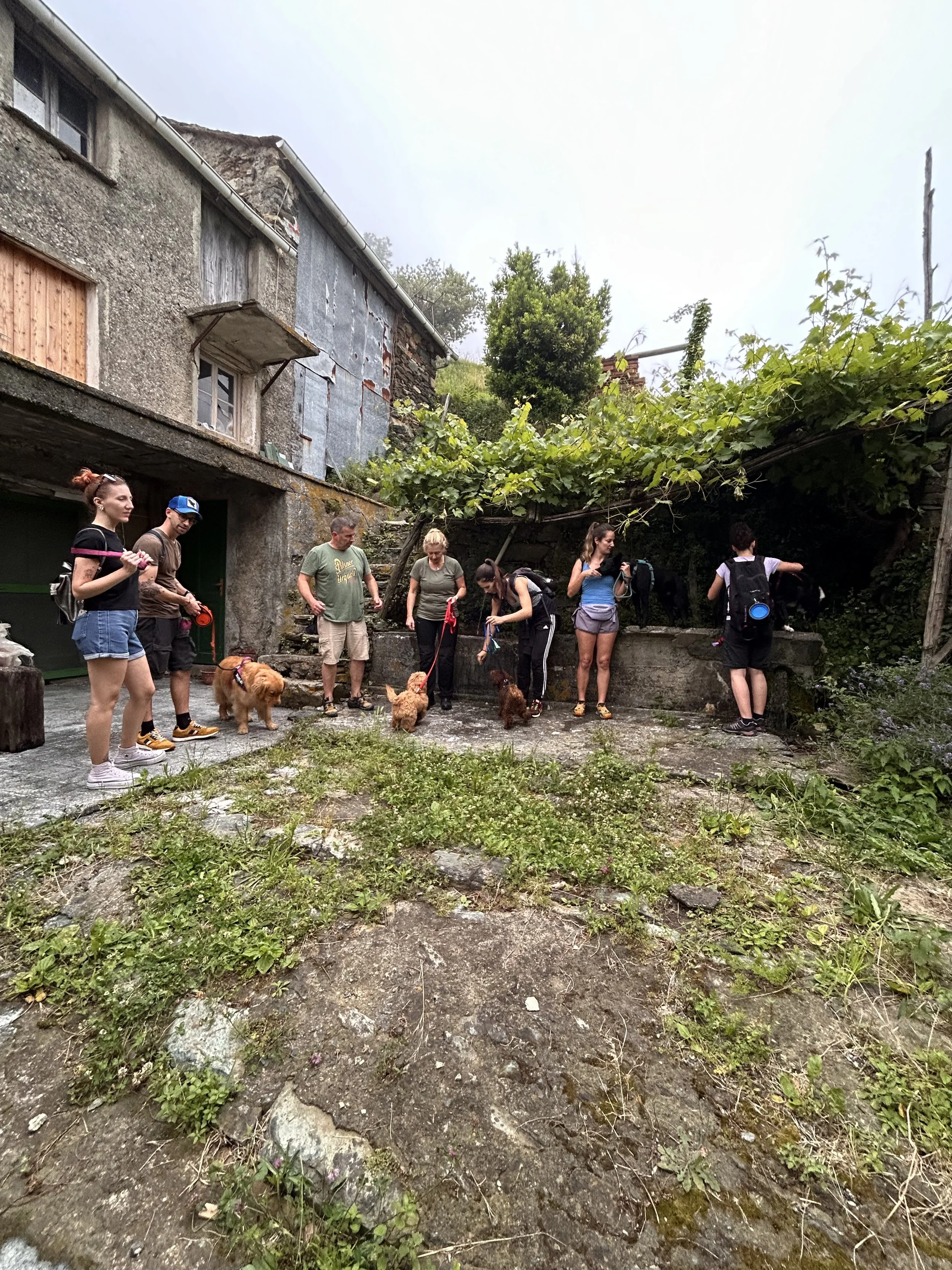 Gruppo di persone con cani in un cortile rustico, con edifici e vegetazione verde sullo sfondo.