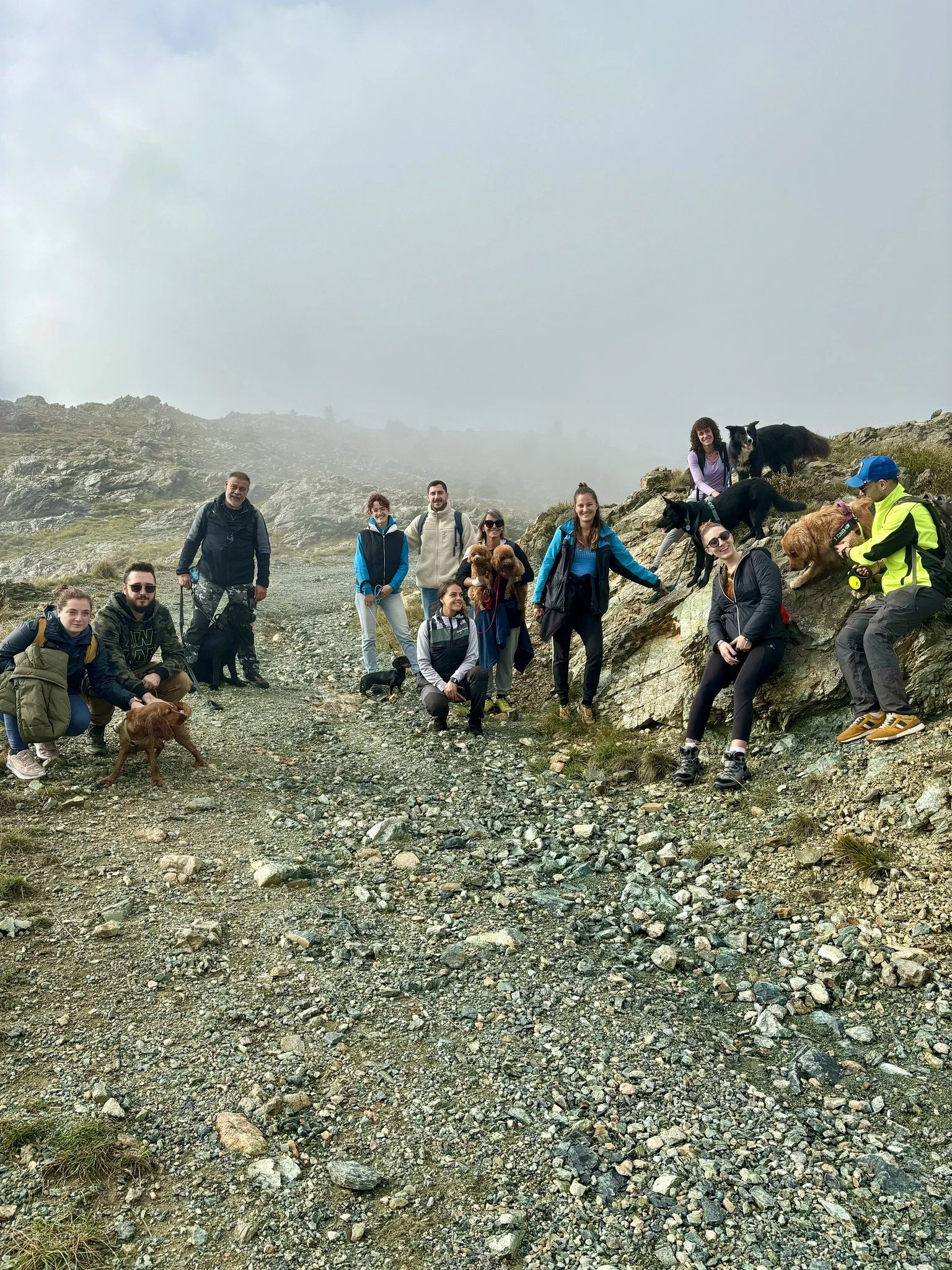 Gruppo di persone e cani in escursione in montagna con cielo nuvoloso.