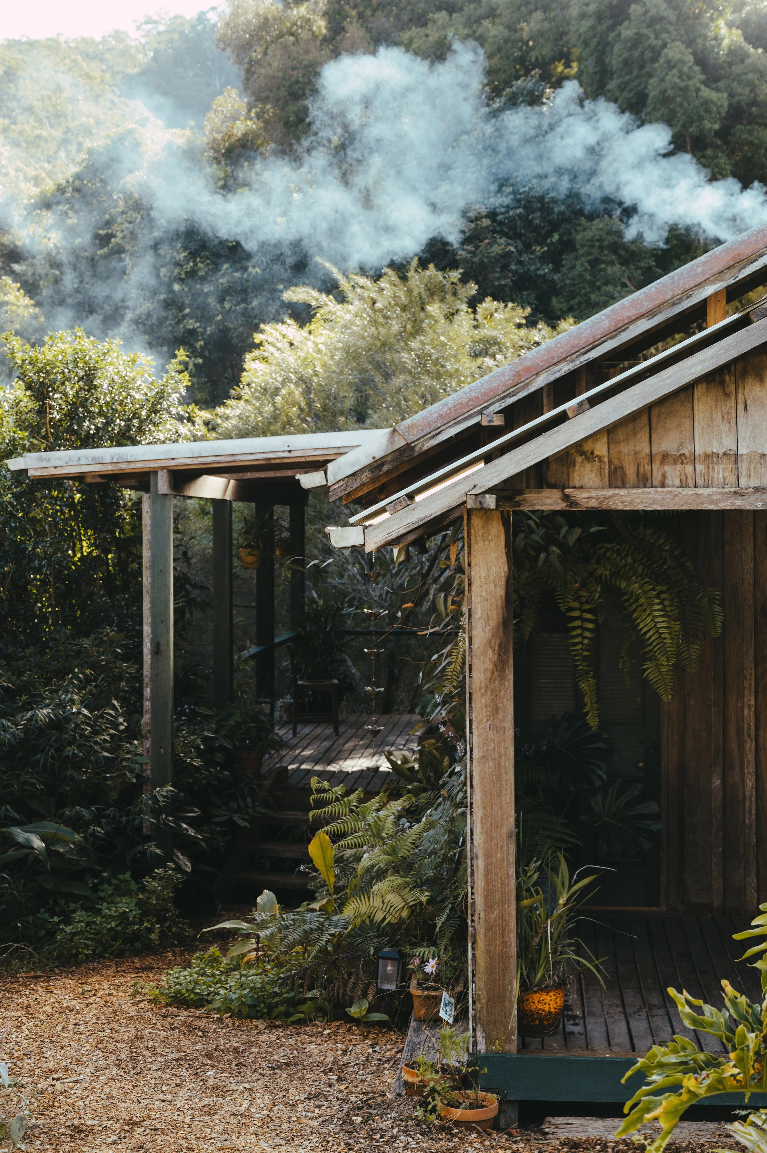 Rainbow Creeks garden entrance with plants around it and smoke rising from behind it, set in a lush, green rainforest setting.