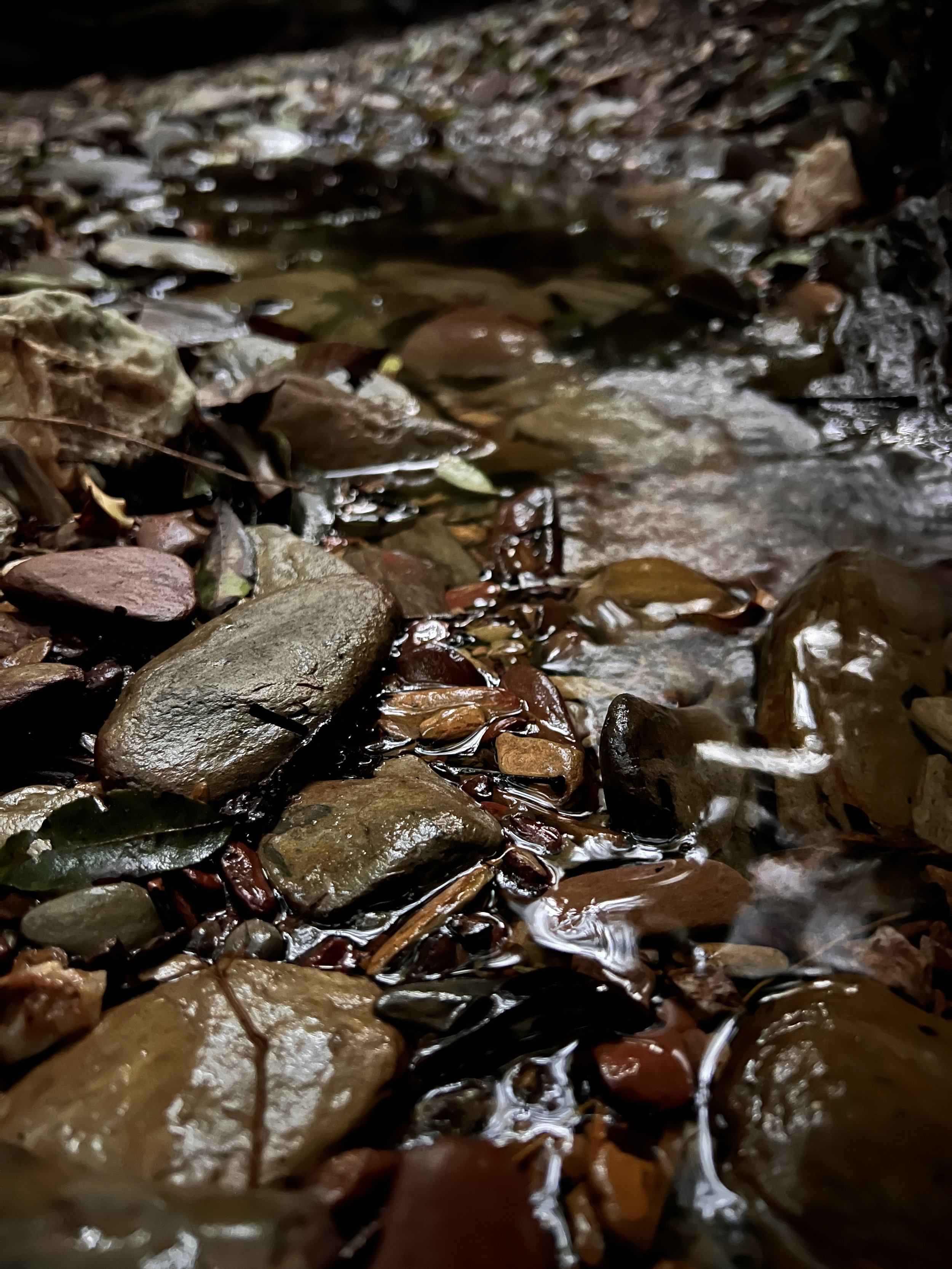 The creek that gives Rainbow Creek it's name - full of ochres and some quartz