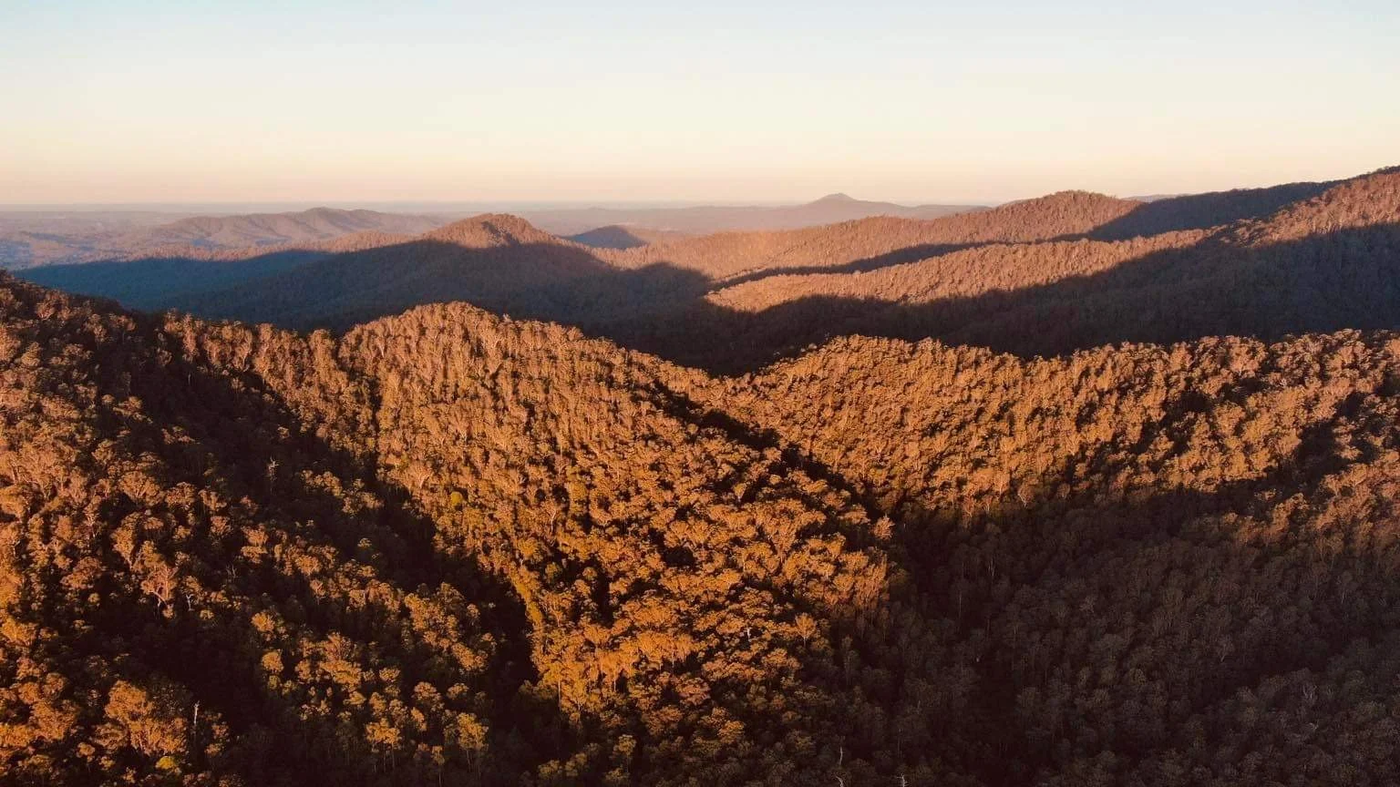 Sunset over a mountain range covered in trees with long shadows and a clear sky.
