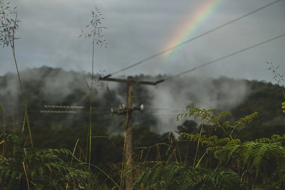 A landscape with a rainbow in the sky, a utility pole with wires, some tall grasses, and mist over a hilly area.