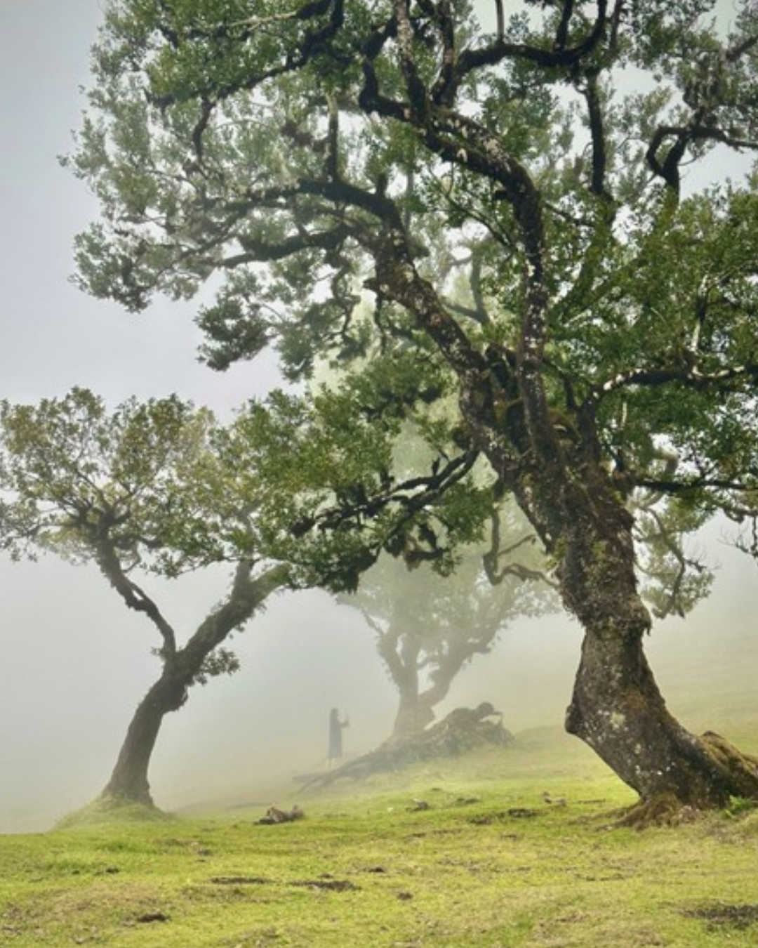 Through my lens: A journey through the landscape