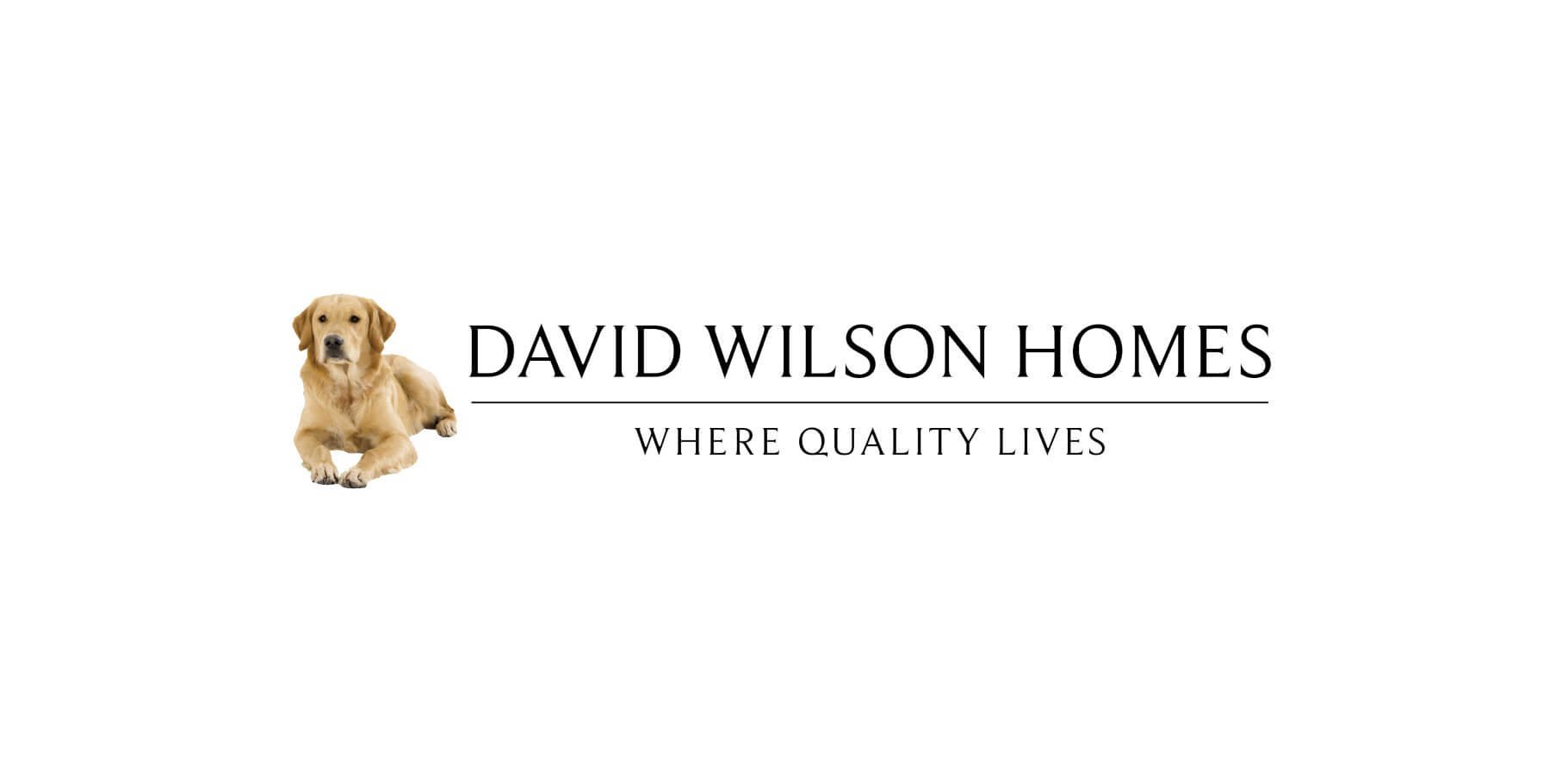 david wilson homes