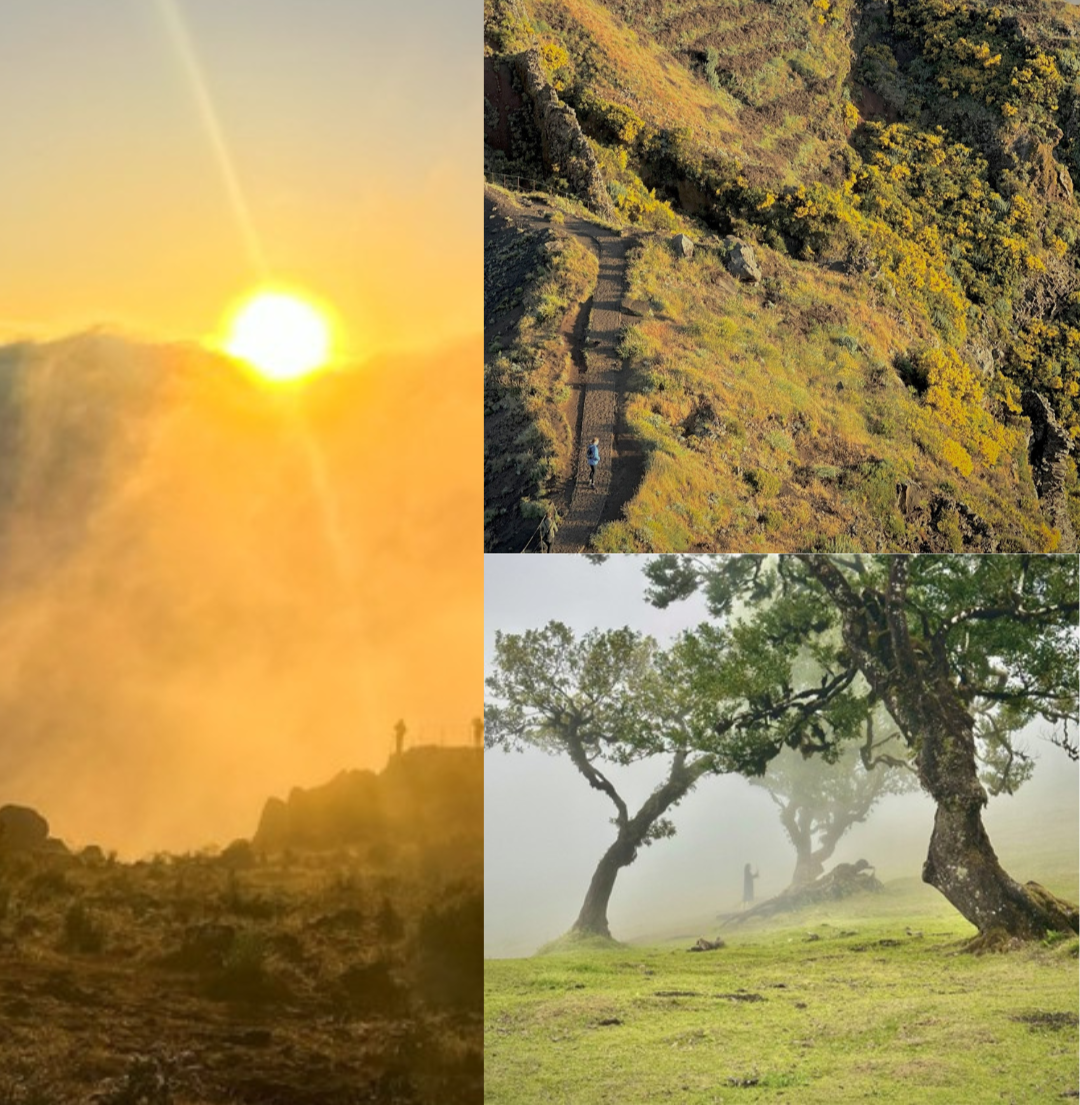 Kash Pal's photography of landscapes, a journey through the landscape