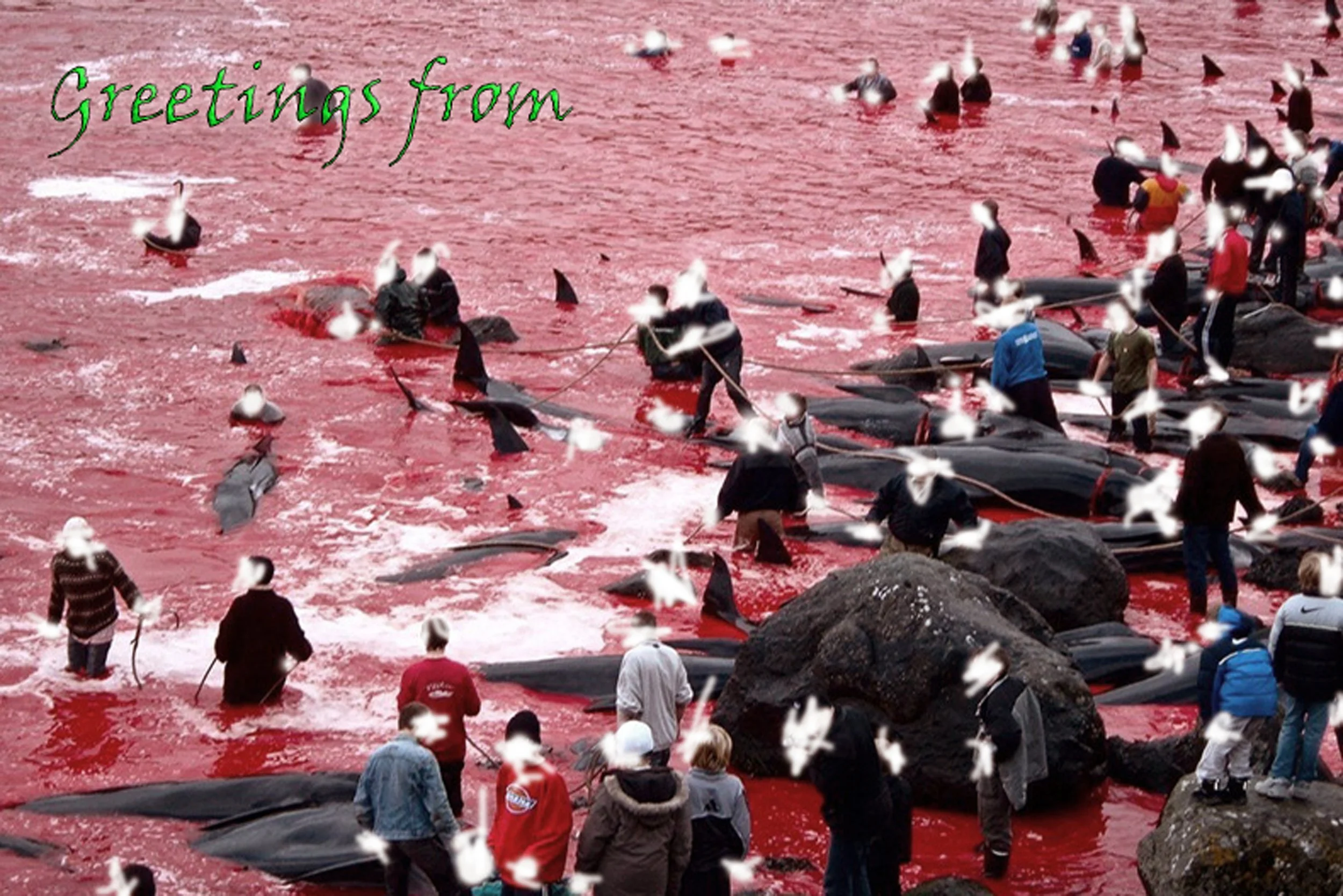 Postcard 3 - Greetings from, 2016-2018.jpg