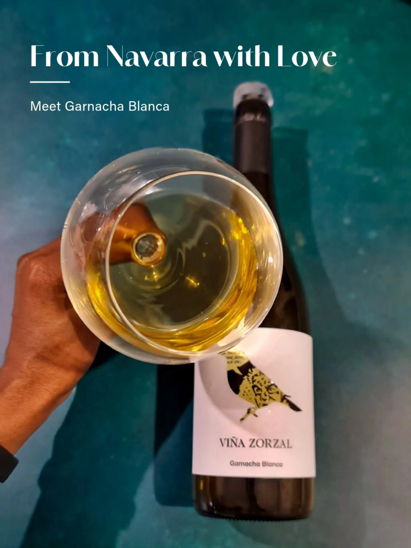 𝘈 𝘵𝘰𝘢𝘴𝘵 𝘧𝘳𝘰𝘮 𝘴𝘶𝘯-𝘬𝘪𝘴𝘴𝘦𝘥 𝘕𝘢𝘷𝘢𝘳𝘳𝘢! ☀️

Navarra is known for its bold reds and gorgeous ros&eacute;s. But there's a quiet white star that deserves the spotlight too: 𝗚𝗮𝗿𝗻𝗮𝗰𝗵𝗮 𝗕𝗹𝗮𝗻𝗰𝗮.

Once nearly forgotten, oversh