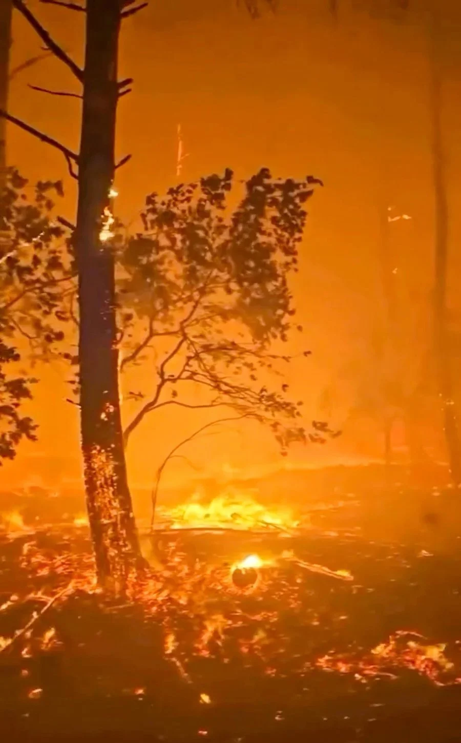 Gironde Under Fire: What the Wildfires Mean for the Region, Its People and Its Wine