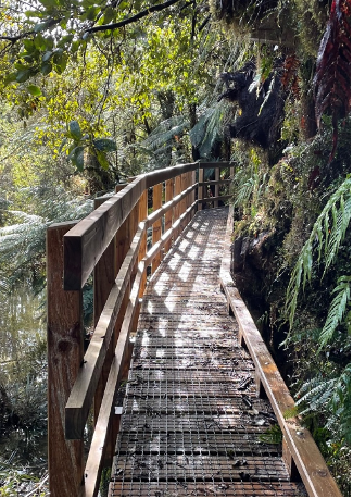 hollyford2.png