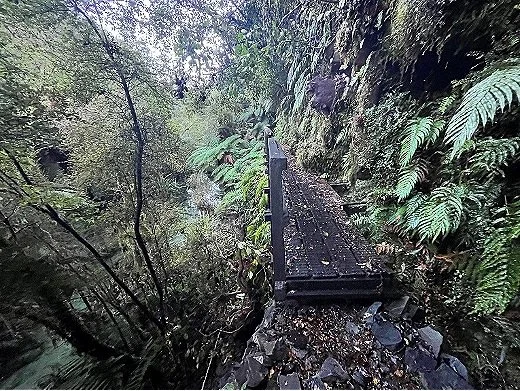 Recreation Construction Hollyford Track Before.jpg