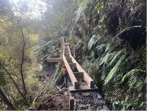 hollyford1.png