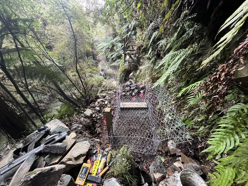 hollyford3.png