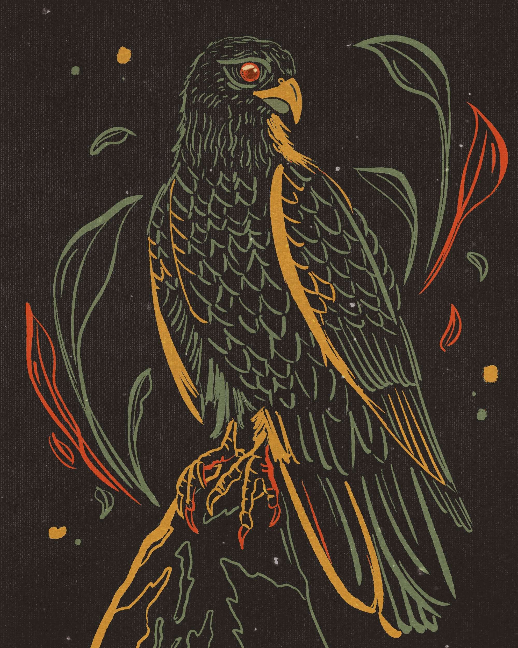 Maori birds: Karearea
