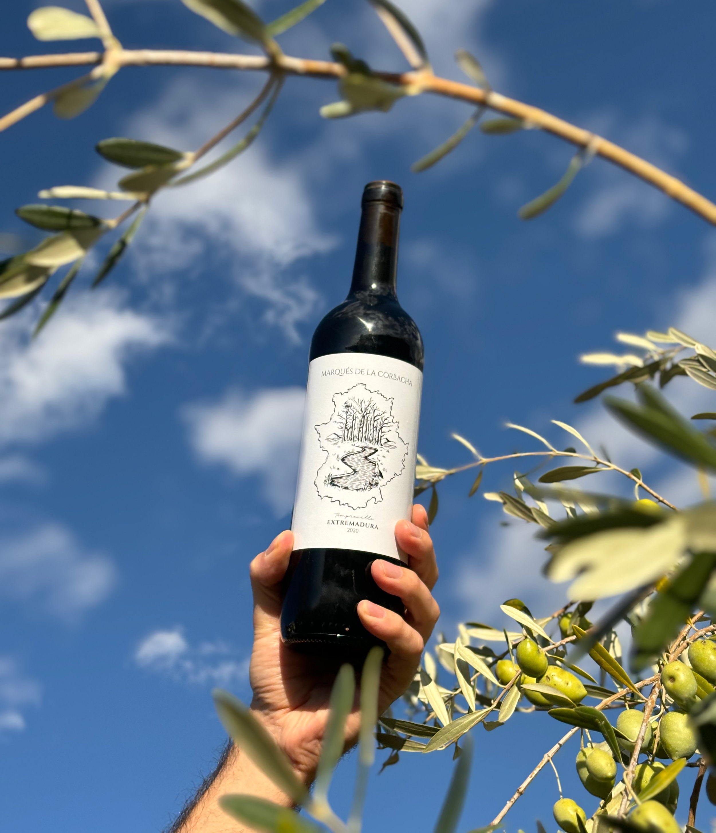 Wine label design