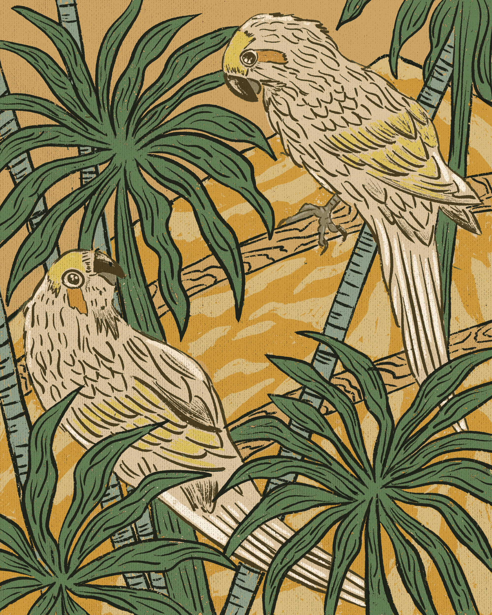 Maori birds: Kakarikis