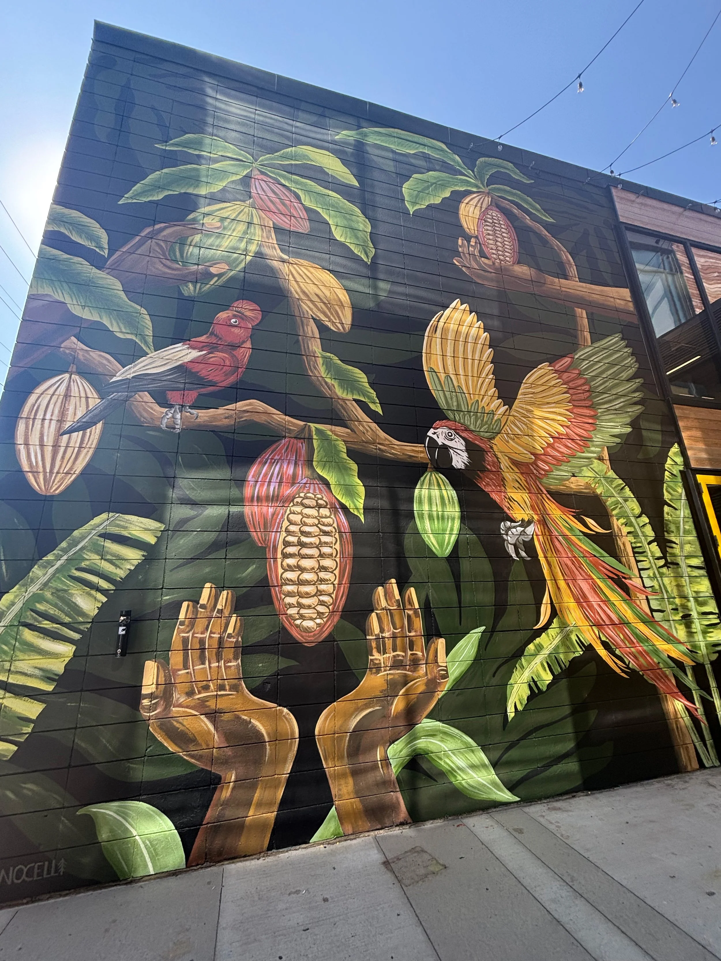 Cacao Mural