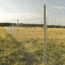 Building the Foundations: Practical Infrastructure for Small Livestock Producers