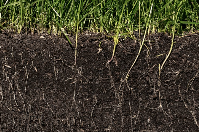 Screenshot 2026-01-21 200837.png