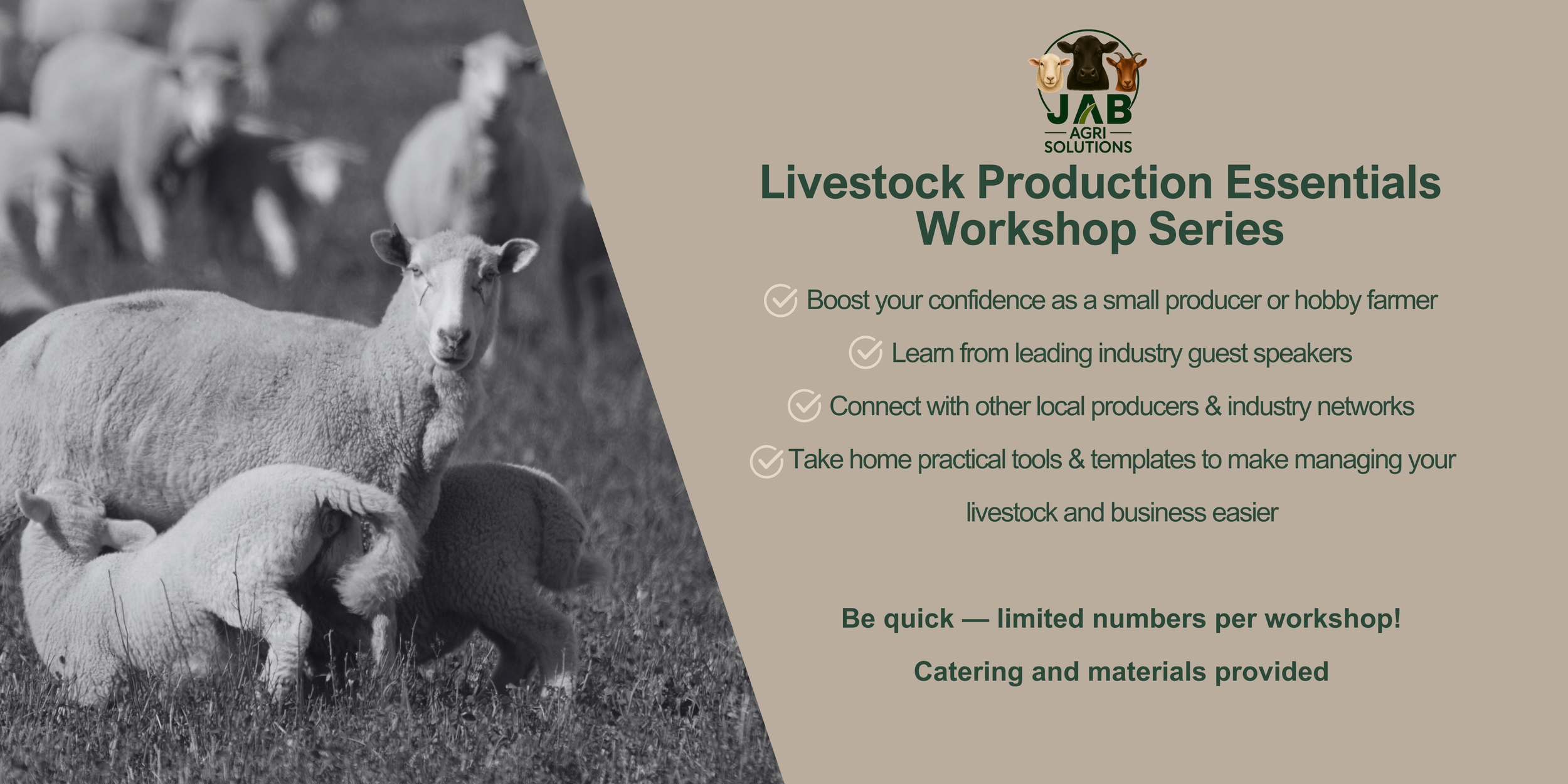 Page 1 Banner - Series.png