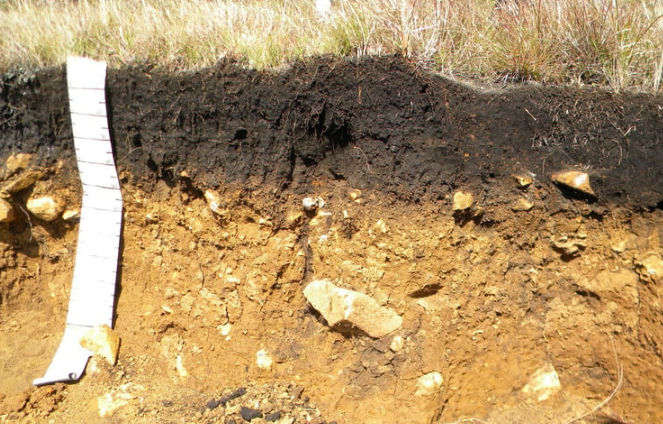 Soil pit.png