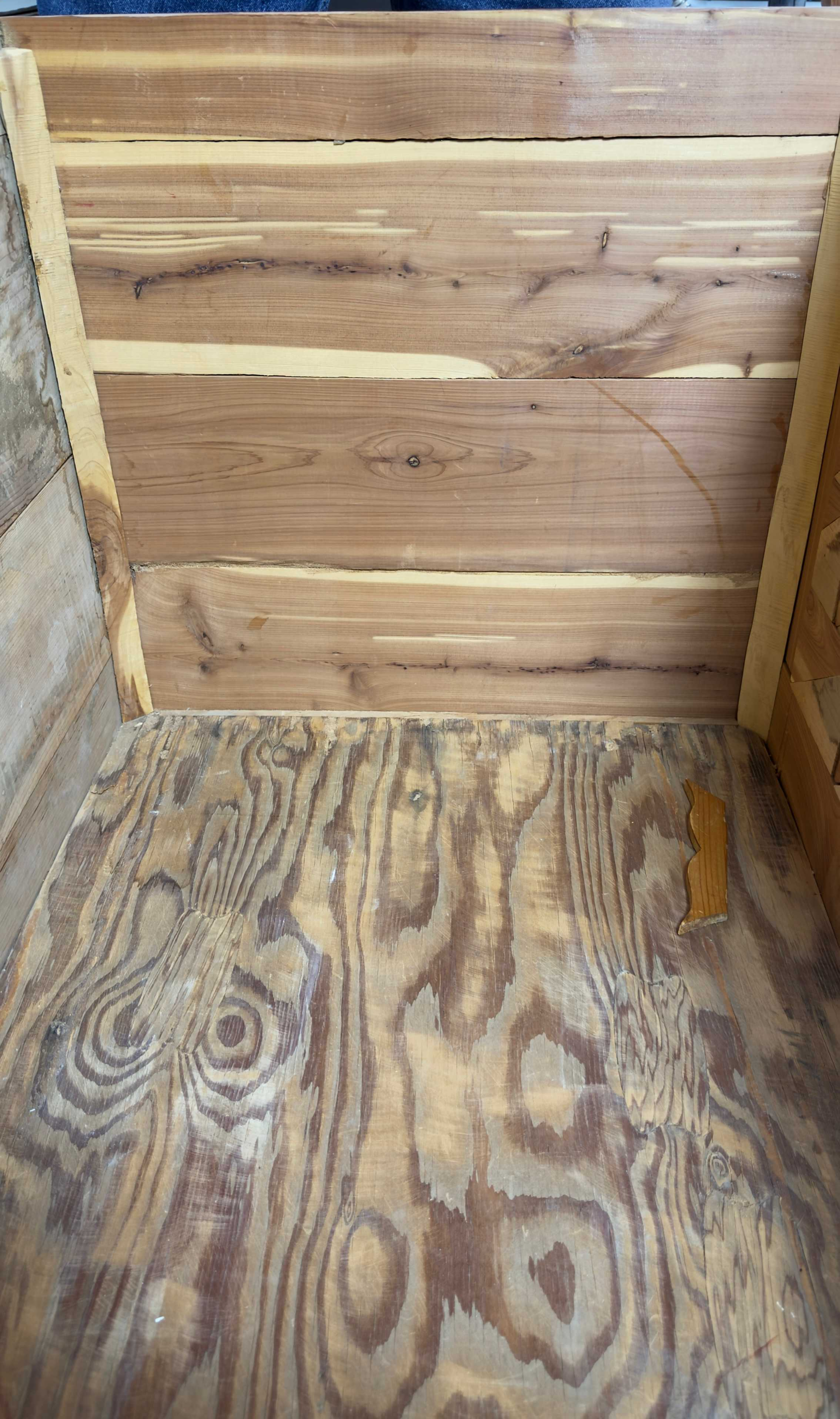 Carr-Before and After-Inside Bottom and Lid_page_2.png