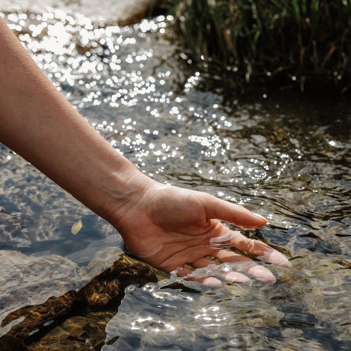 Sometimes, the simplest touch can remind us how deeply we are connected to the world around us. 
💧✨

 #mindfulliving #naturereflections #momentsofstillness